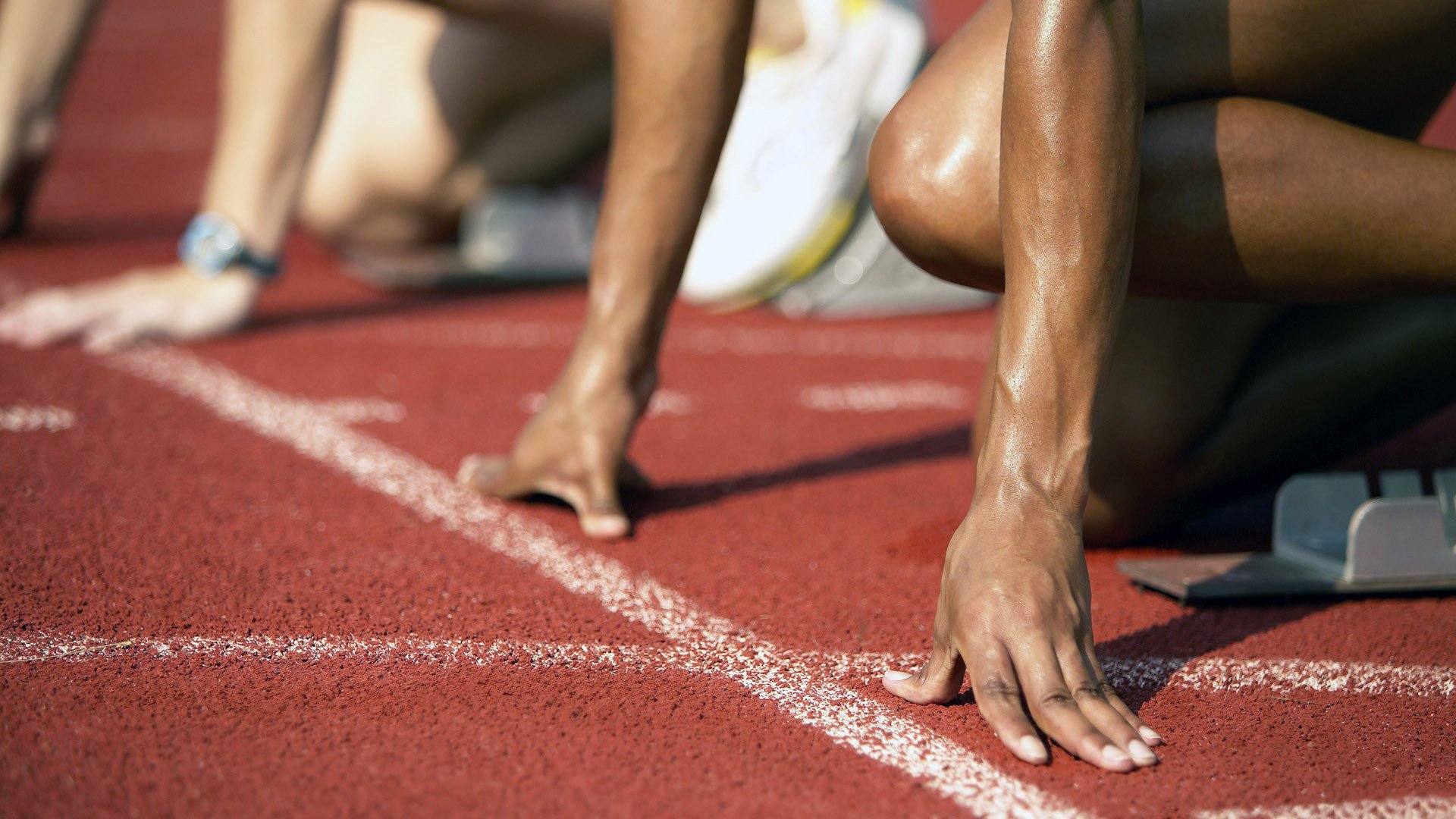 开云网址-体育新闻中心发布运动训练内容生成引擎测试结果，体育训练新闻稿格式模板